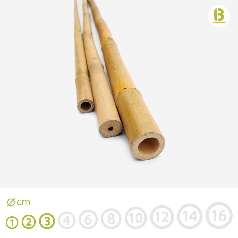  Tam Vong Bamboo sticks