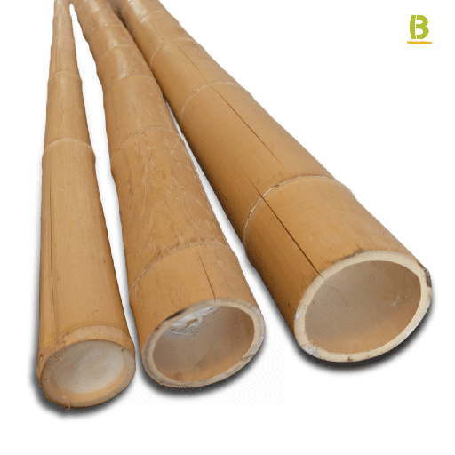 Moso Outlet Bamboo Poles