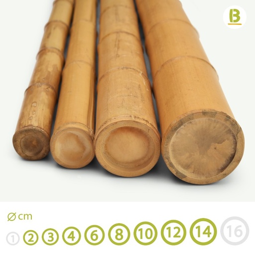 MOSO BAMBOO POLES